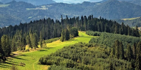 pieniny