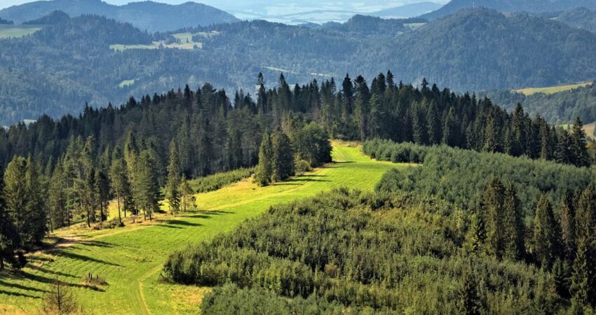 pieniny