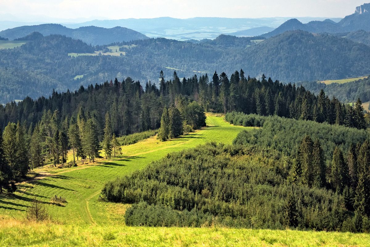 pieniny