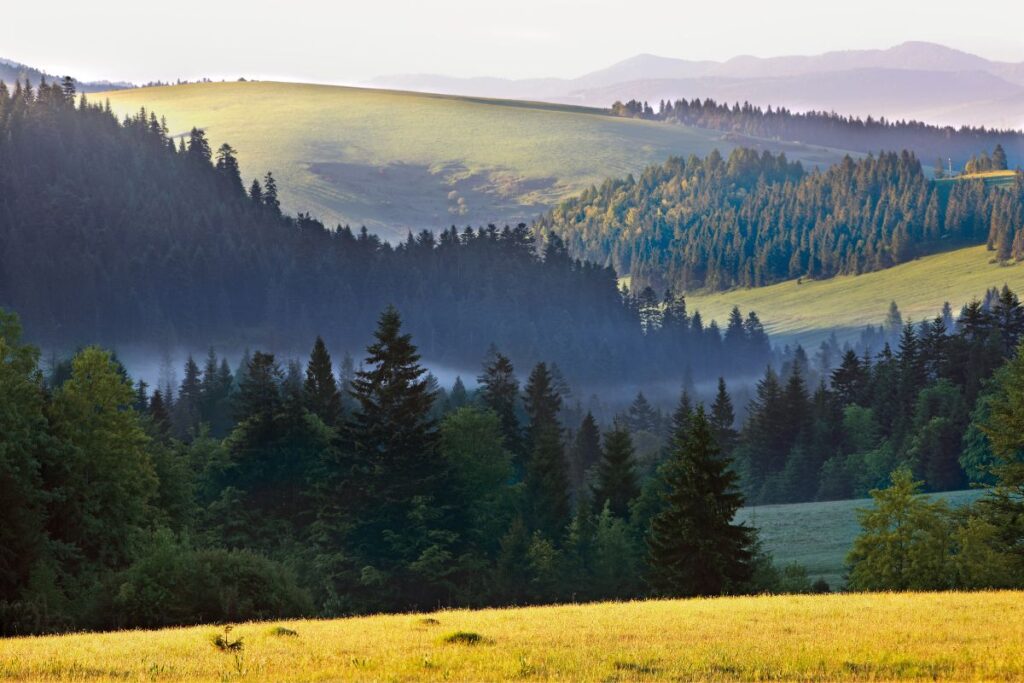 wycieczka w pieniny