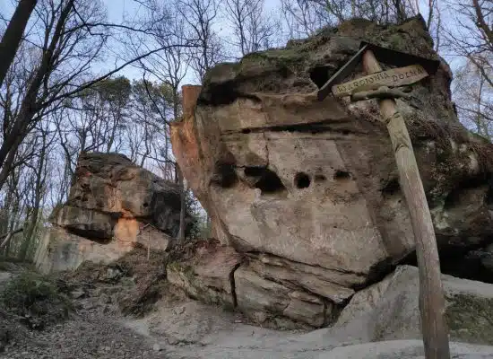 wycieczka szkolna do skamieniałego miasta